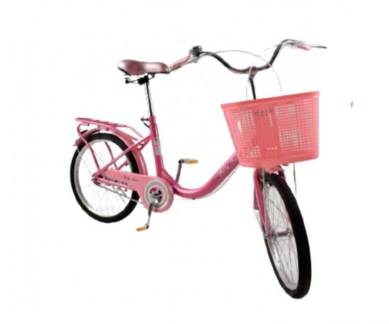 صورة دراجة مقاس 20